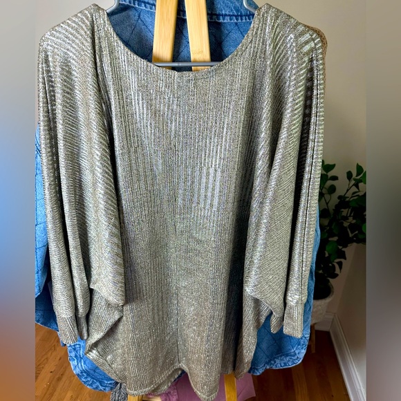 Kim & Cami Tops - Metallic Silver plus size batwing top